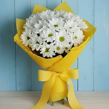 Букет цветов из:  Хризантемы в Кошехабльском