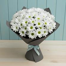Букет цветов из:  Хризантемы в Кошехабльском