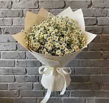 Букет цветов из:  Ромашки в Кошехабльском