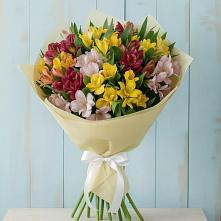 Букет цветов из:  Альстромерии в Кошехабльском