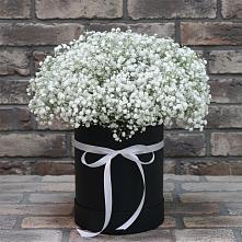 Цветочная композиция из Гипсофила в шляпной коробке в Кошехабльском