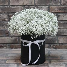 Цветочная композиция из Гипсофила в шляпной коробке в Кошехабльском