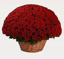 Премиум букет из: Розы #REPLACE_PRED# Кошехабльском