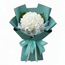 Букет цветов из:  Гортензия в Кошехабльском